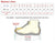 AGUTZM 2020 Rihanna Transparent pvc Slippers Fashion Slides Women Summer Sandals Lovely flat Beach